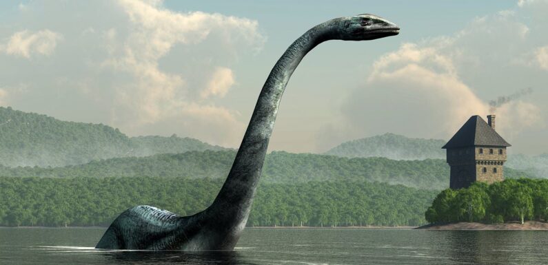 The Loch Ness Monster is NOT just a giant eel, study claims