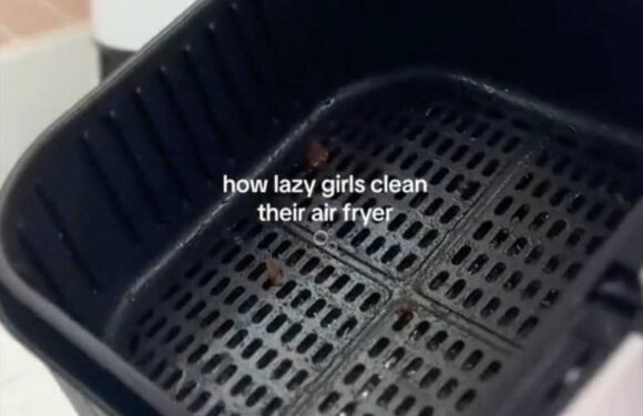 The 'lazy girl' way to get your greasy air fryer spotless and you can even go out as it cleans | The Sun