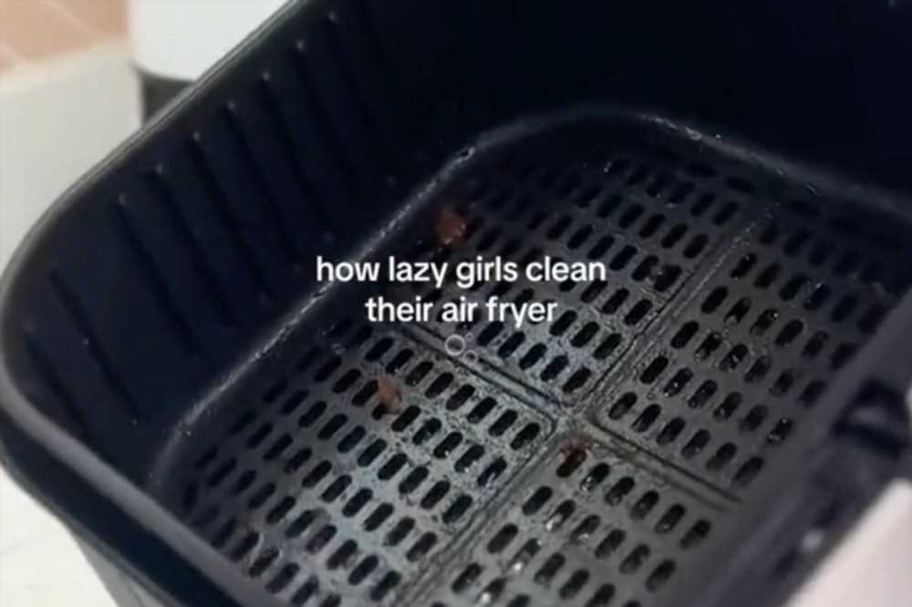 The 'lazy girl' way to get your greasy air fryer spotless and you can even go out as it cleans | The Sun