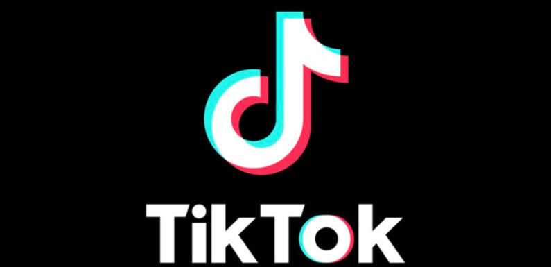 TikTok Announces New Text Post Feature