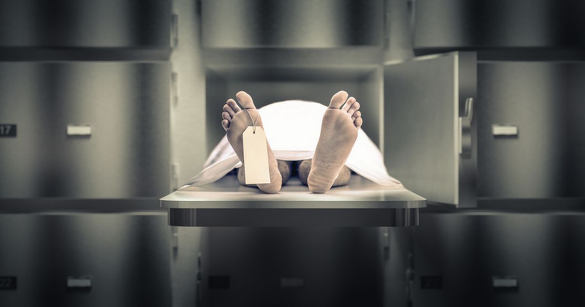 Whole human torso delivered to medical waste facility and left rotting for days