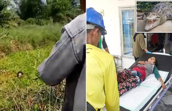 Woman is attacked in a swamp by a crocodile for 90 MINUTES