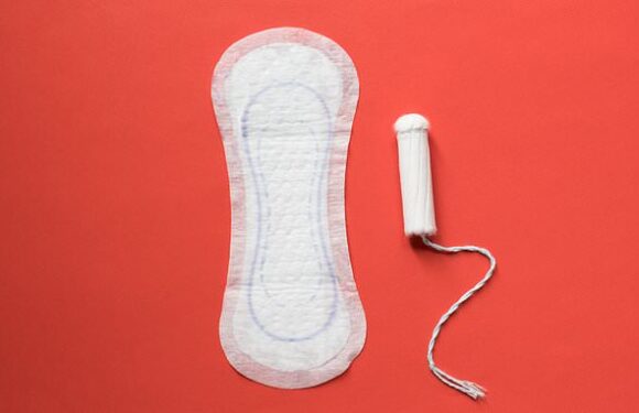 Women forced to strip to show if they are on period at Kenyan factory
