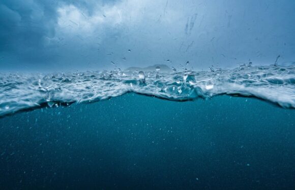 ‘Serious consequences’ ahead as key ocean currents predicted to collapse by 2060