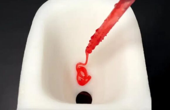 3D-printed toilet so slippery that NOTHING leaves a mark, experts say