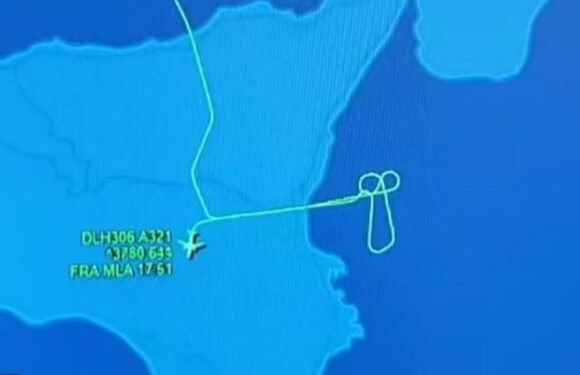 Aircraft makes penis-shaped flight pattern in diversion – but it was accidental