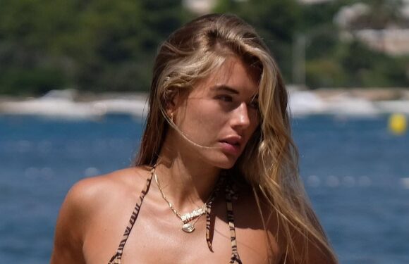 Arabella Chi flaunts her incredible figure in a tiger print bikini