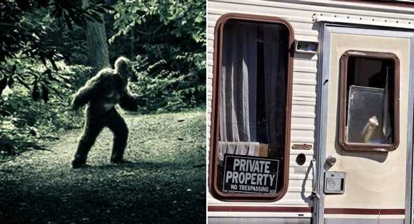 ‘Bigfoot attacks my motorhome when I don’t offer it apples – here’s the proof’