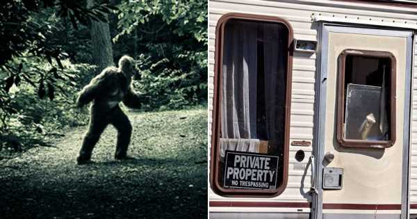 ‘Bigfoot attacks my motorhome when I don’t offer it apples – here’s the proof’