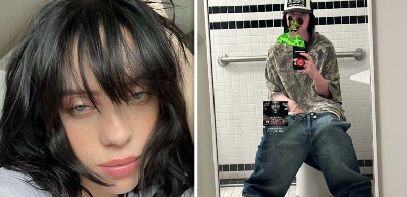 Billie Eilish shares explicit photo on the toilet after body shaming admission