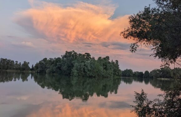 Bloke catches huge fish after spotting silhouette of massive carp in the clouds