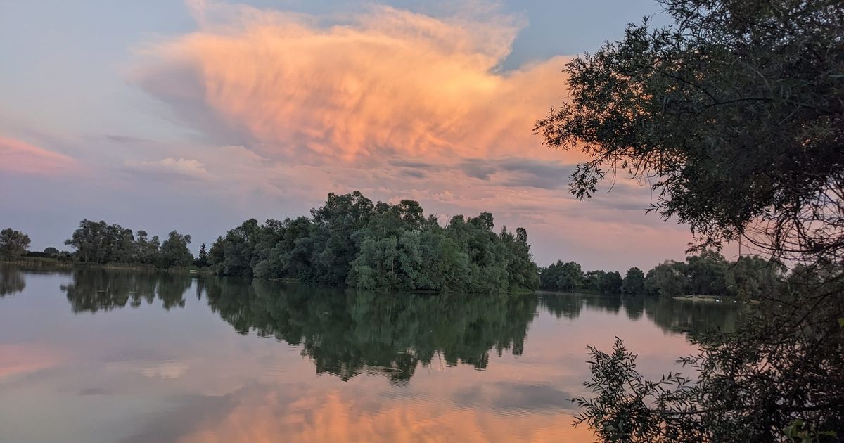 Bloke catches huge fish after spotting silhouette of massive carp in the clouds