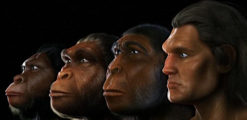 Climate change may have given ancient human ancestors bigger brains
