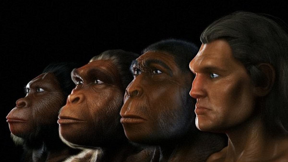 Climate change may have given ancient human ancestors bigger brains