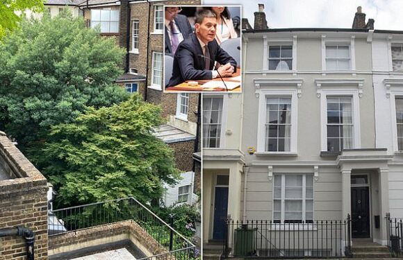 David Miliband in neighbour battle to chop tree at his £3.5m mansion