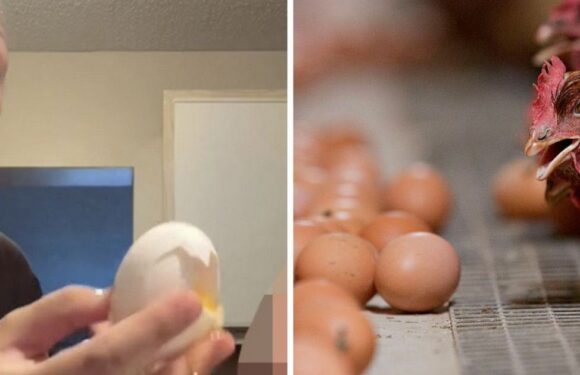 Experts’ grim warning as parents smash eggs on kids’ heads for new TikTok trend