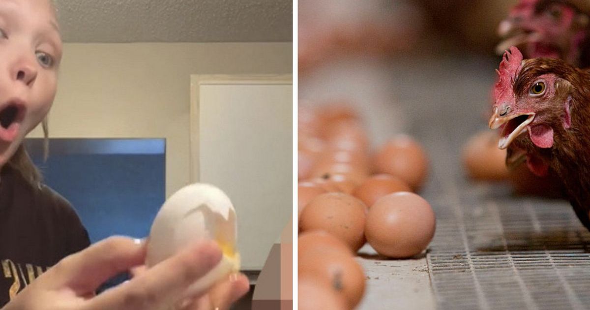 Experts’ grim warning as parents smash eggs on kids’ heads for new TikTok trend