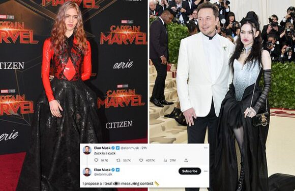 Grimes takes credit for Elon Musk challenging Mark Zuckerberg