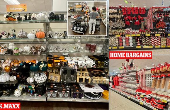 Home Bargains selling Christmas decor with four months to go