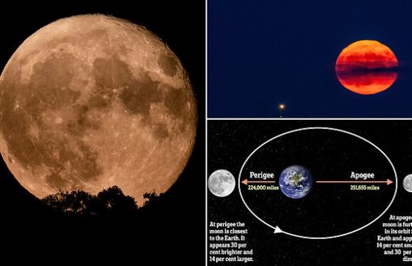 How and when to see the only Blue Moon of 2023