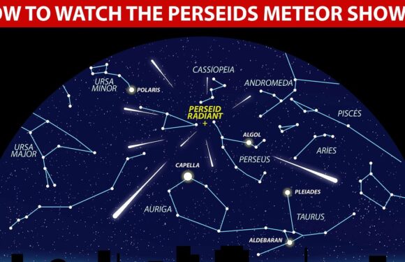 How to see Perseid meteor shower from the UK as it peaks on Saturday