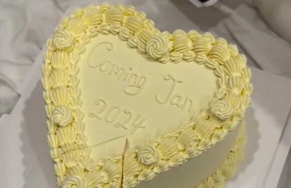 I bought a stunning cake for my baby’s gender reveal but ruined it – neither my guests or I know what I’m having | The Sun