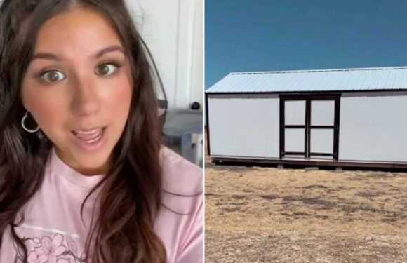 I don't want my kids to have to pay thousands in rent so I'm building them tiny homes in my garden | The Sun
