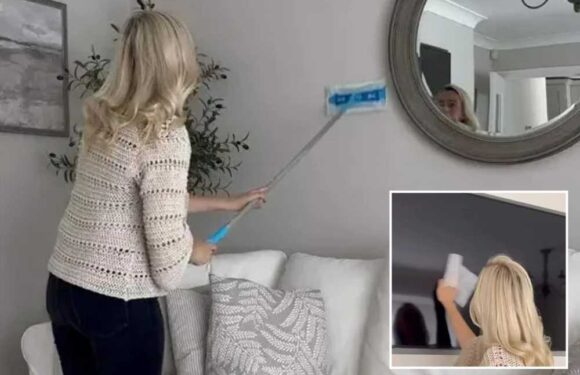 I'm a cleaning pro and 9p hack is literally a dust magnet – rub it on every surface and they’ll be sparkling in seconds | The Sun