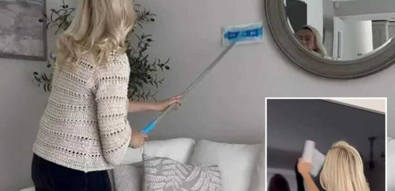 I'm a cleaning pro and 9p hack is literally a dust magnet – rub it on every surface and they’ll be sparkling in seconds | The Sun