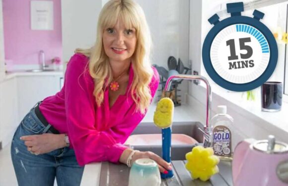 I'm a cleaning pro – my secret hacks to get your house spic ‘n’ span in just 15 minutes… and you only need 5 products | The Sun