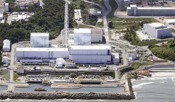 Japan dumping radioactive waste 'could cause animal mutations'