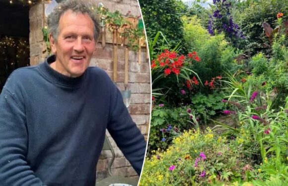 Monty Don dazzles Gardeners' World fans with 'breathtaking' home transformation after break from show | The Sun