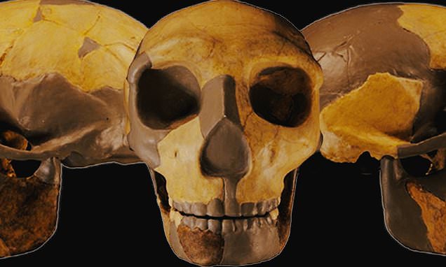 Mystery as ancient skull found in China is unlike any hominin species