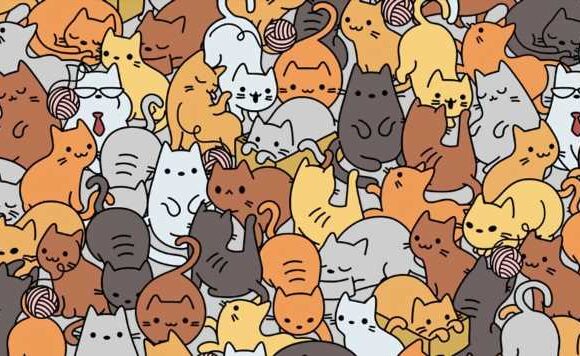 Only those with razor sharp vision can spot the tiny mouse among the cats