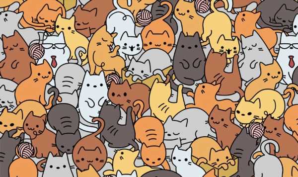 Only those with razor sharp vision can spot the tiny mouse among the cats