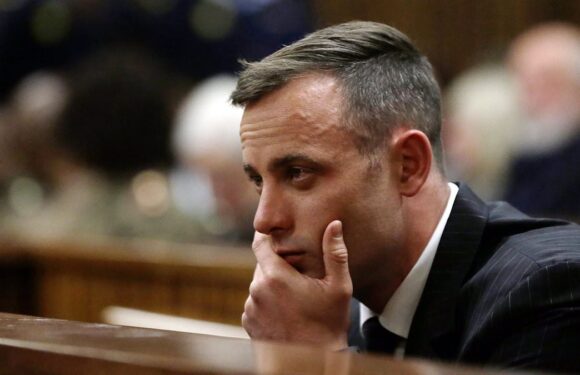 Oscar Pistorius makes new bid for freedom