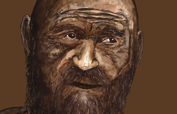 Ötzi the iceman had dark skin and a balding head, study finds