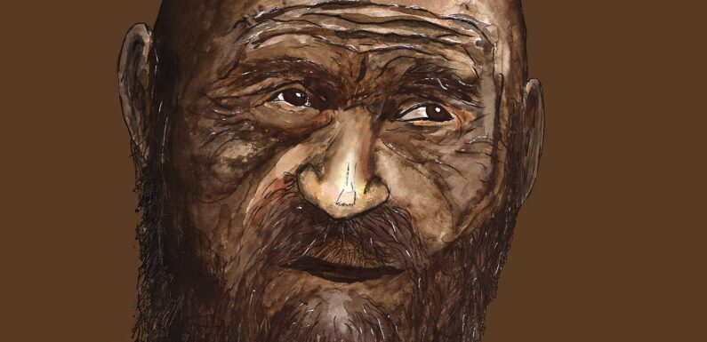 Ötzi the iceman had dark skin and a balding head, study finds