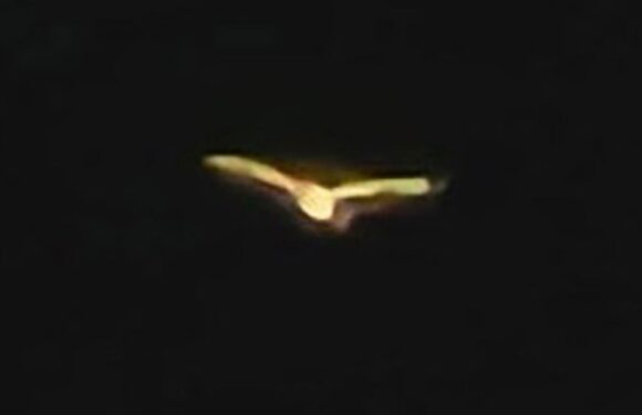 Police launch probe after ‘golden’ UFOs filmed soaring over parliament building