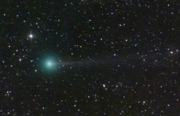 'Potentially interstellar' comet will be visible with the naked eye