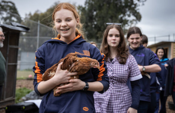 Schools that Excel northern winners: Bundoora Secondary College and Hume Anglican Grammar