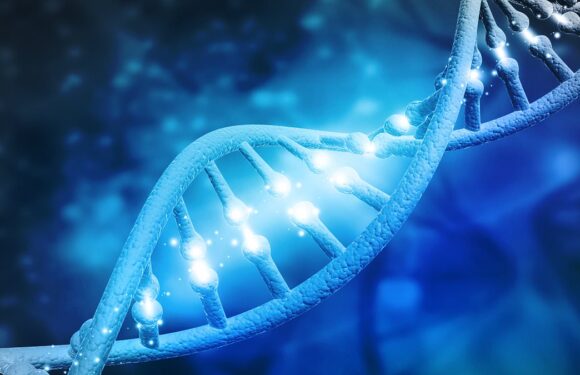 Scientists Control Human DNA with Electricity in 'Leap Forward': Study