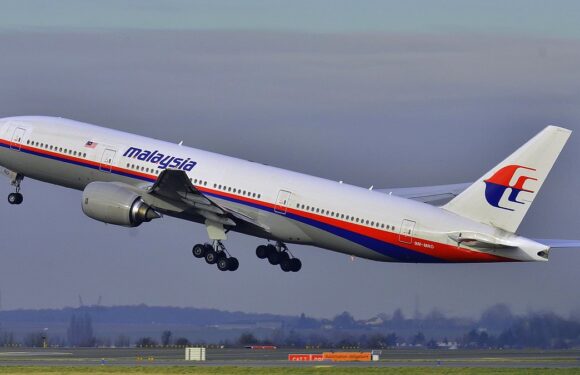 Scientists claim BARNACLES could reveal where flight MH370 landed