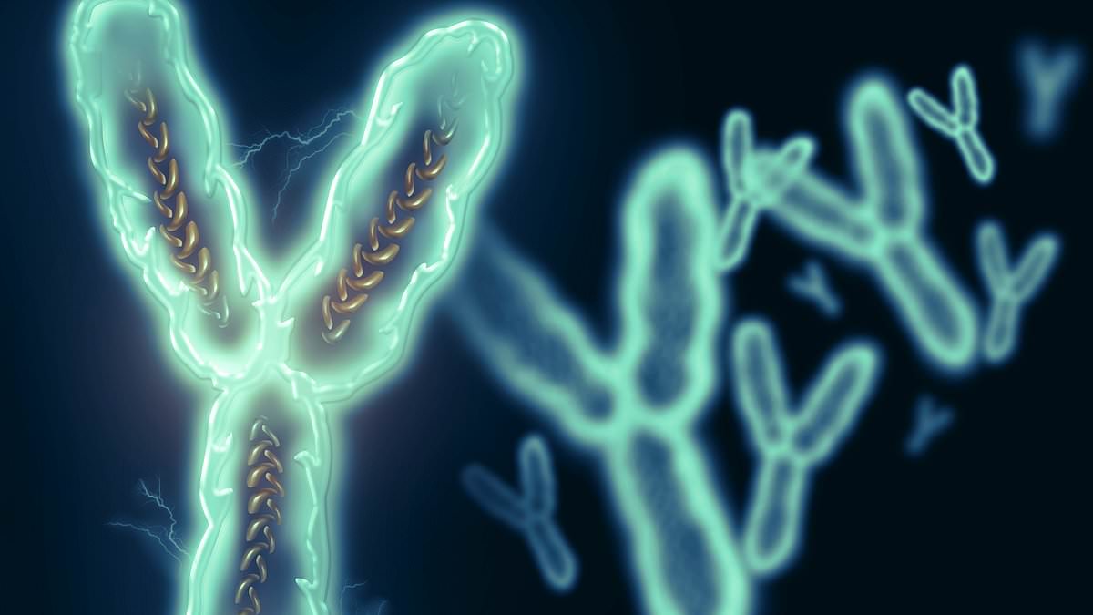 Scientists crack the Y chromosome code for the first time