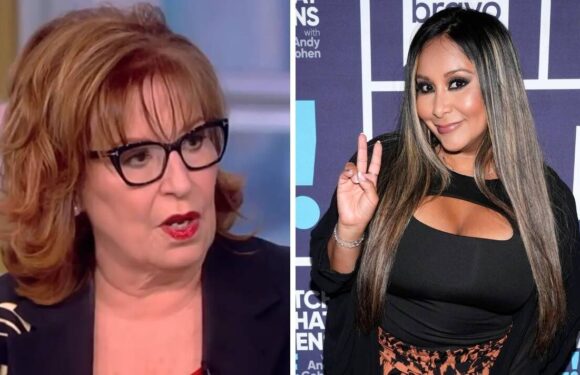 The View host Joy Behar allegedly refused to film Jersey Shore segment