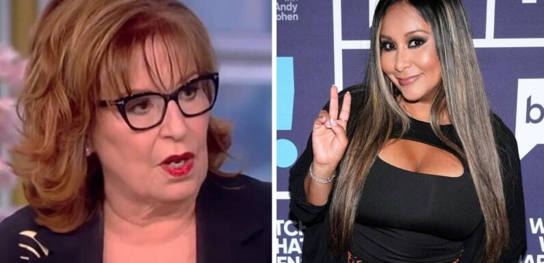 The View host Joy Behar allegedly refused to film Jersey Shore segment