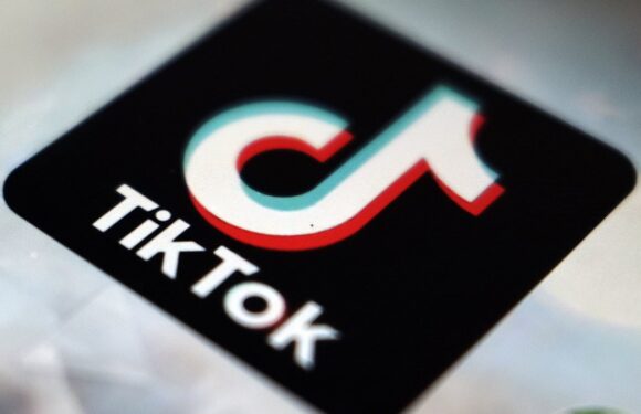 TikTok has 46 SECRET emoji – how to unlock them on your smartphone