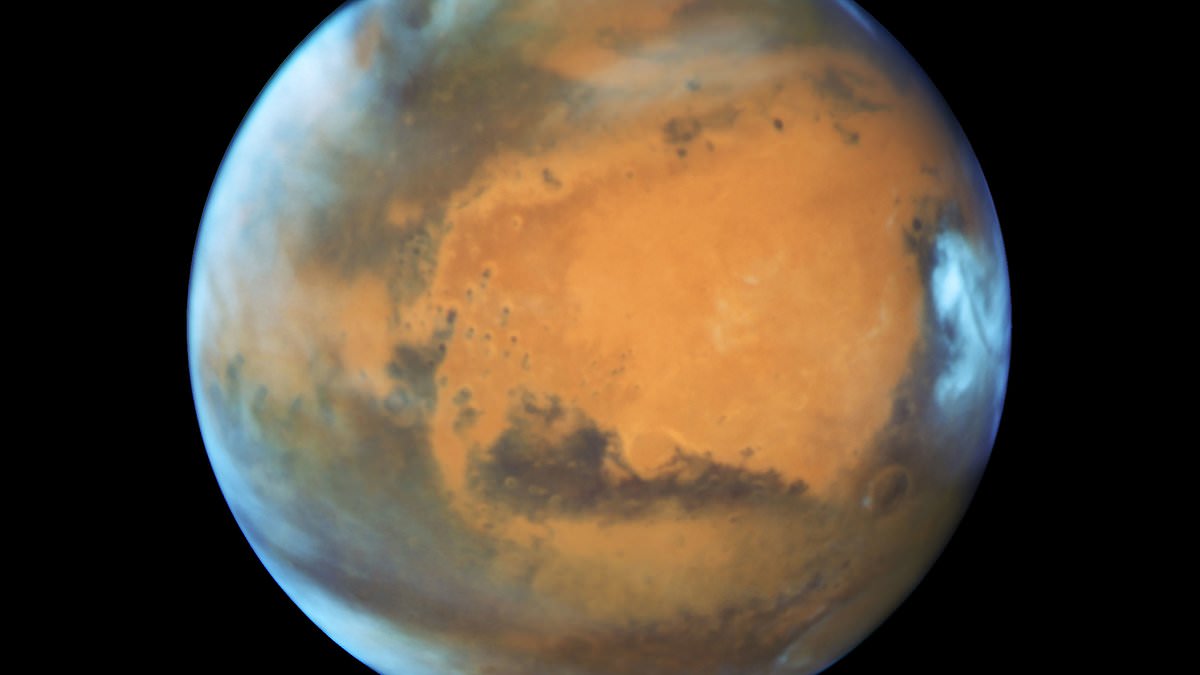 Would you be able to survive on the moon? Check out NASA's exercise