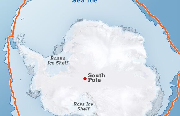 Antarctica's sea-ice levels are at a 'mind-blowing' historic low