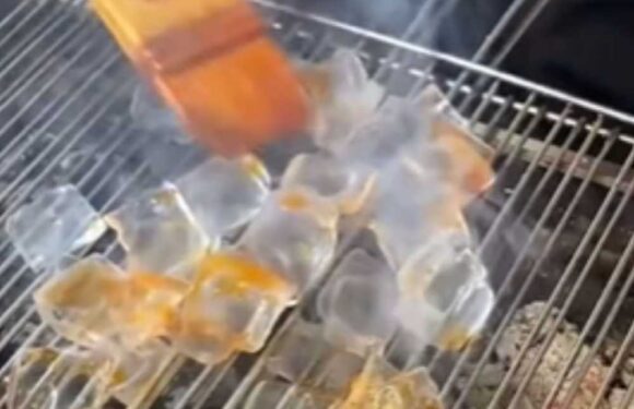 Bizarre dish of grilled ICE becomes latest craze – and people are completely baffled by street food dish | The Sun